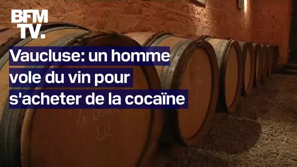 Vaucluse: un homme vole du vin dans le domaine viticole où il travaille pour s'acheter de la cocaïne