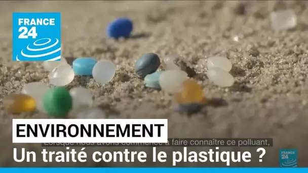 Environnement : un traité contre le plastique ? • FRANCE 24