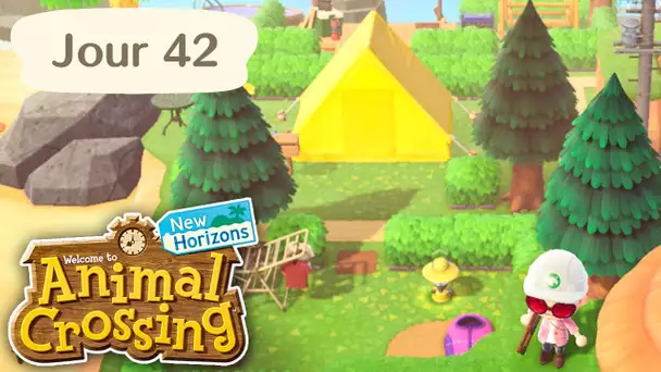 Jour 42 | Le Nouveau Camping | Animal Crossing : New Horizons