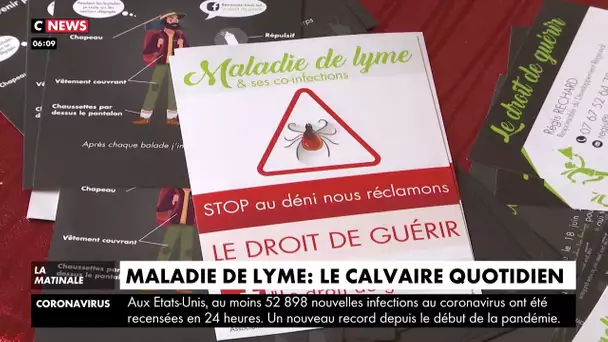 Maladie de Lyme : le calvaire quotidien