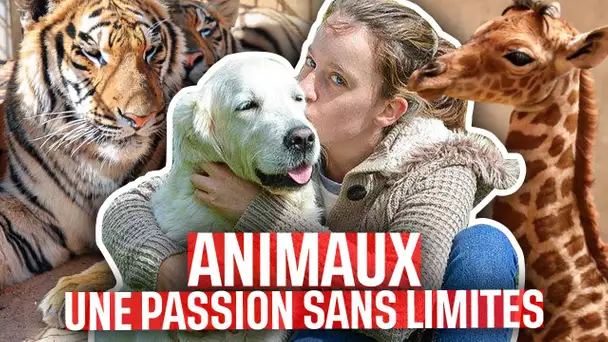 Animaux, une passion sans limites