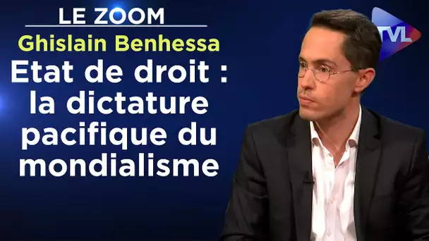 Etat de droit : la dictature pacifique du mondialisme - Le Zoom - Ghislain Benhessa - TVL