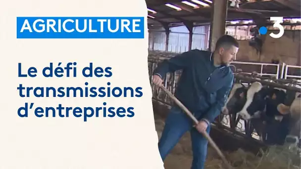 Le défi de la transmission agricole