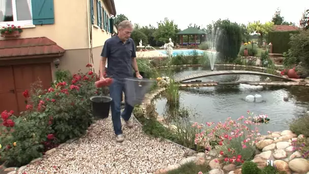 Le jardin aquatique hante la tête des français