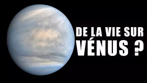 Y a-t-il de la VIE sur Vénus ? EC