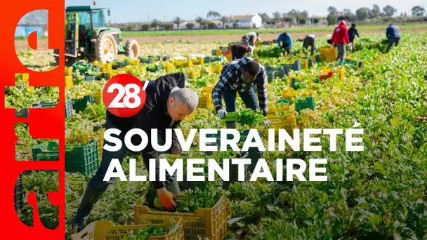 Souveraineté alimentaire : une assiette 100 % made in France, c’est possible ? - 28 Minutes - ARTE