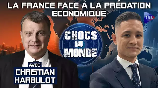 Guerre économique : la France peut-elle y survivre ? - Chocs du monde - TVL