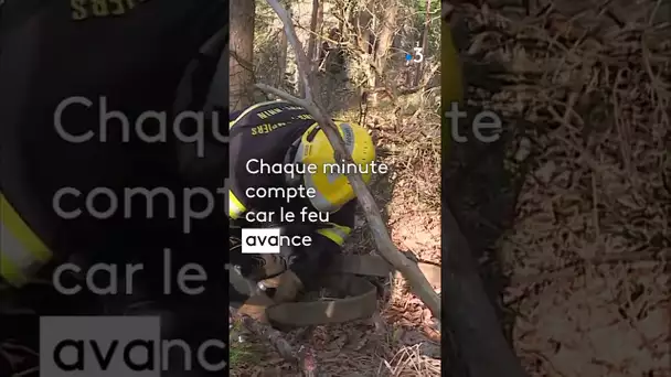 Formation pompiers feu de forêt