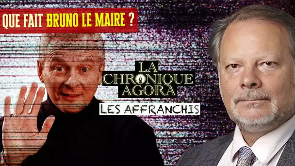 [Format court] PME françaises en danger : que fait Bruno Lemaire ?  - Les Affranchis - TVL