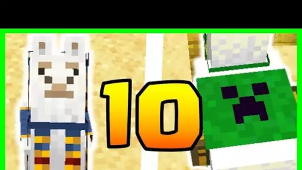 10 SECRETS SUR LES LAMA MINECRAFT 1.17