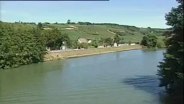 Vendanges du champagne en Seine-et-Marne