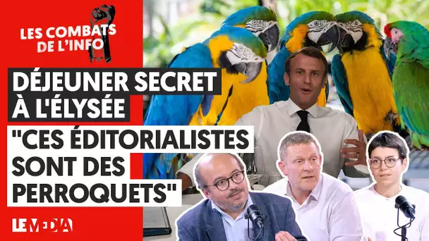 DÉJEUNER SECRET A L' ÉLYSÉE : QUAND 10 ÉDITORIALISTES FONT LES PERROQUETS DE MACRON