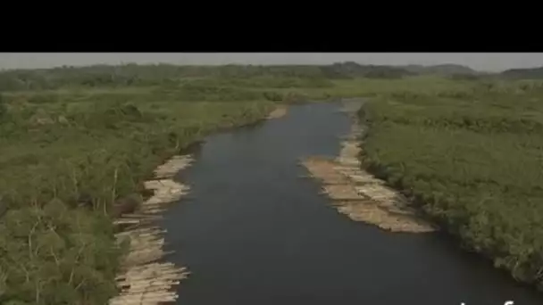 Gabon : flottage du bois près de Port Gentil