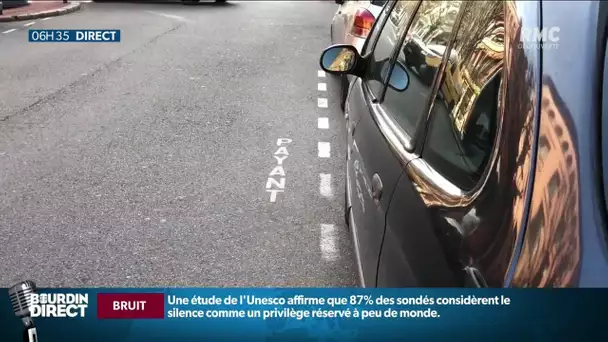 Toulouse: la combine de certains policiers municipaux pour éviter de payer le stationnement