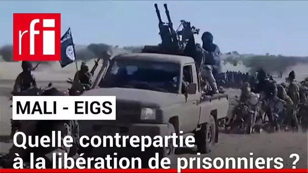 Mali : retour sur la libération des prisonniers de l'EIGS • RFI