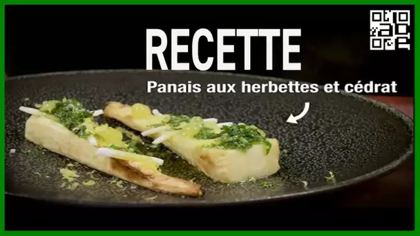 Recette de panais aux herbettes et cédrat. ABE-RTS