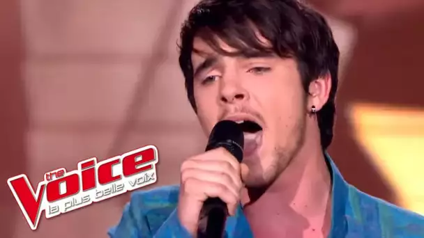 Gotye - Somebody That I Used to Know | Louis Delort | The Voice France 2012 | Finale