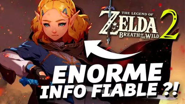 Zelda Breath of the Wild 2 : ÉNORME INFO FIABLE ?! 😱
