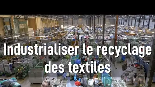 Recyclage des textiles : visite d’une usine pionnière dans l’automatisation du tri