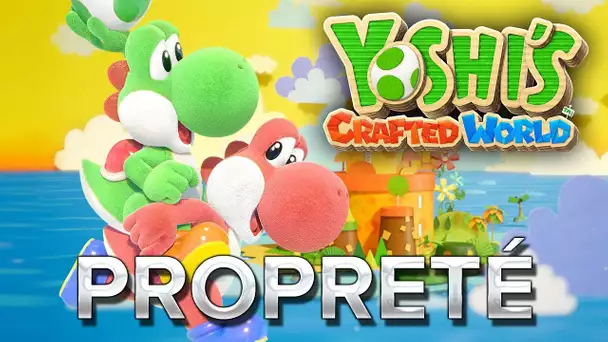 Yoshi&#039;s Crafted World #6 : Propreté