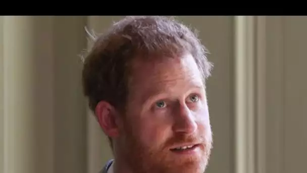 Le prince Harry "a reçu une avance de 14,5 millions de livres sterling pour un livre révélateur et f