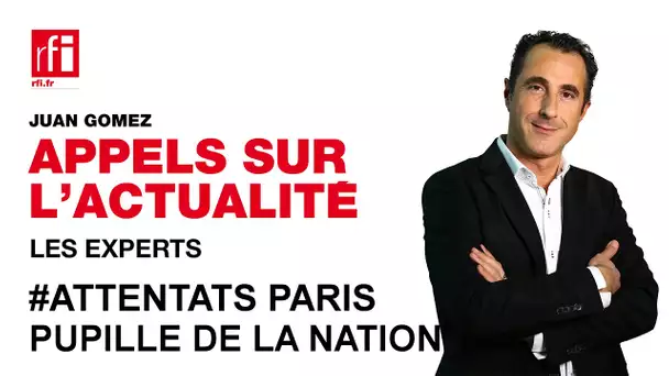 Attentats de Paris : que vont devenir les orphelins ? #PupilleDeLaNation