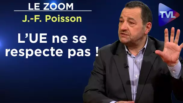 Nous sommes des militants pour la Paix - Le Zoom - Jean-Frédéric Poisson - TVL