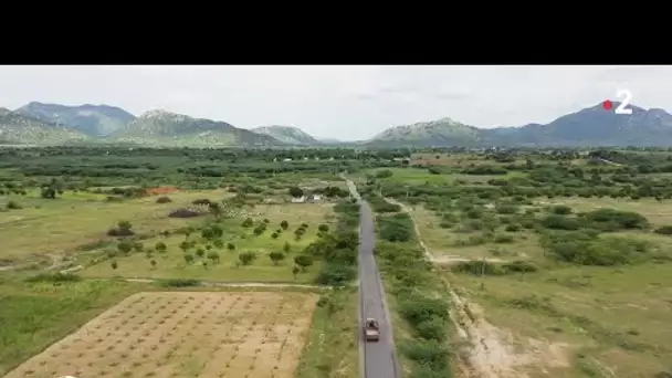 Inde : Le pari d'une agriculture vertueuse