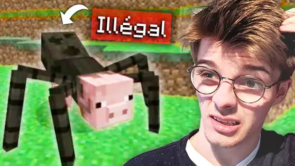 LES CHOSES ILLÉGALES DE MINECRAFT...