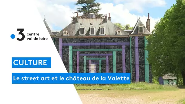 Montargis : un graffeur en résidence pour peindre le château de la Valette de Pressigny-les-Pins