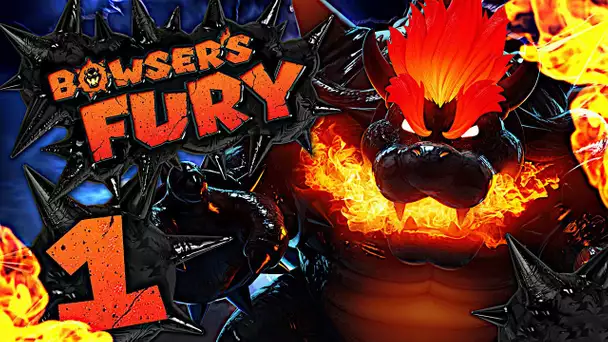 BOWSER EST EN COLERE ! BOWSER'S FURY NINTENDO SWITCH EPISODE 1 CO-OP