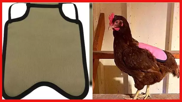 Hen Saver Poultry health equipment Single Strap Hen Apron Chicken Saddle, Khaki, Large US