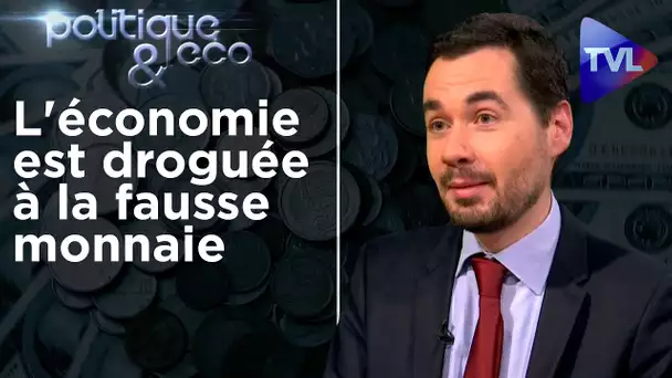 Le système monétaire et fiscal détruit l'économie - Politique & Eco 276 avec Etienne Chaumeton - TVL