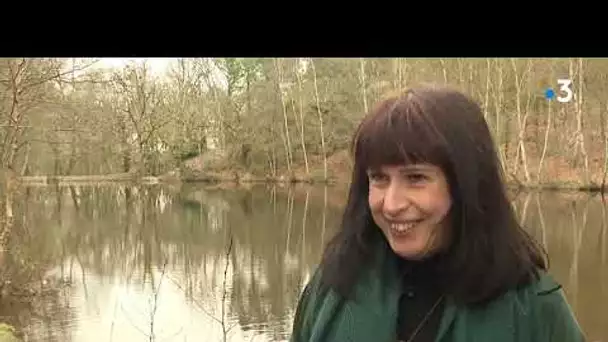 Destination Ouest Broceliande terre de legendes