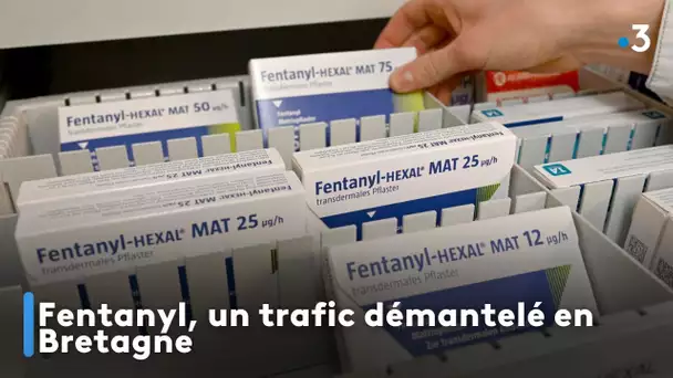 Fentanyl, un trafic démantelé en Bretagne