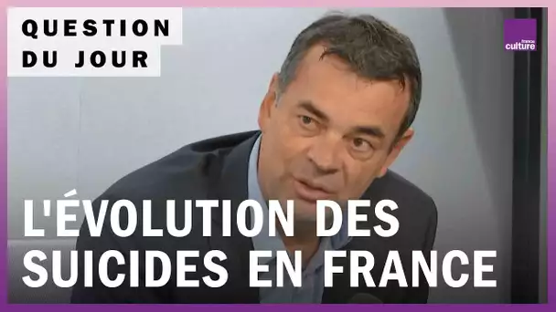 Agriculteurs, enseignants, policiers : le nombre de suicides en France est-il en augmentation ?