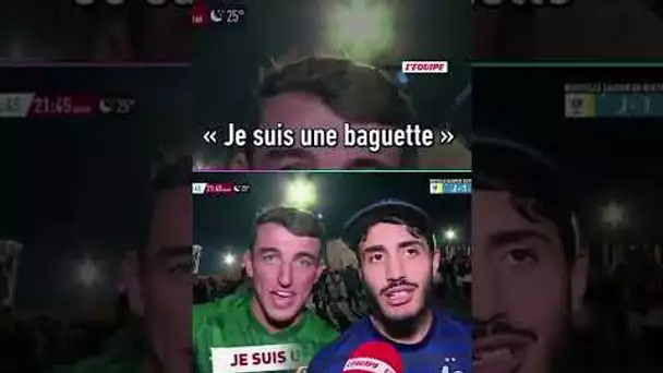 "Je suis une baguette", ce troll d'un supporter irlandais #shorts #worldcup