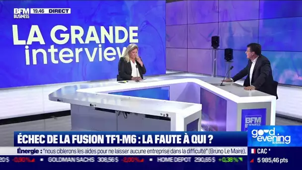 Coupures de signal TF1/Canal+