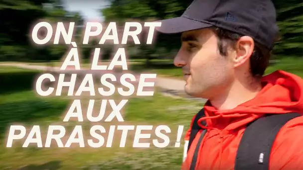 ON PART À LA CHASSE AUX PARASITES !