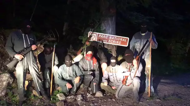 Dans les Hautes-Alpes, 9 personnes armées et cagoulées, lancent un avertissement lié au loup