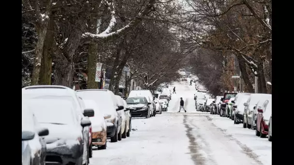 Météo : quelle est la différence entre froid réel et froid ressenti ?