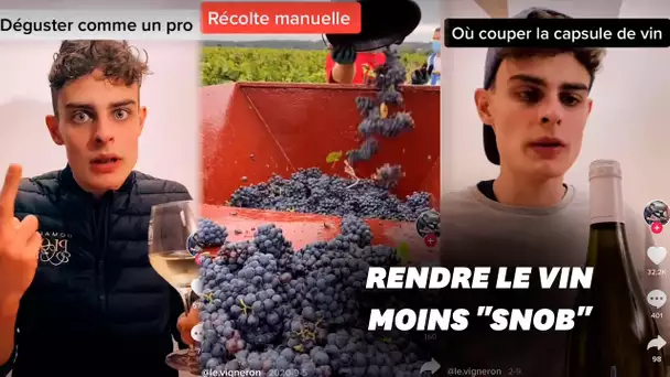 Sur TikTok, ce vigneron tourangeau vulgarise l'œnologie et fait un carton