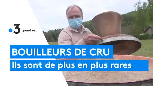 Distillation : les bouilleurs de cru en voie de disparition