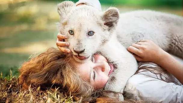 MIA ET LE LION BLANC Bande Annonce (2018) Mélanie Laurent, Aventure