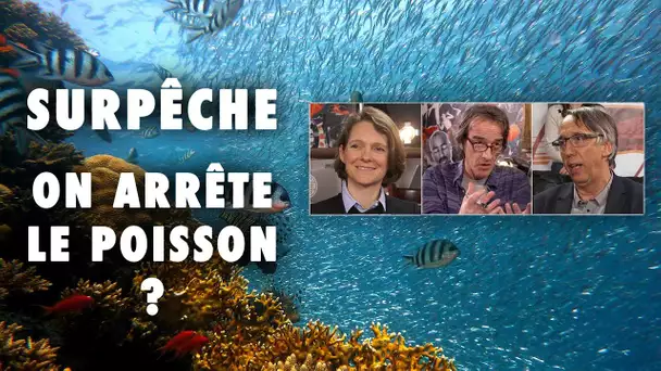 Surpêche : on arrête le poisson ? - Emission #15 - L'Esprit Sorcier