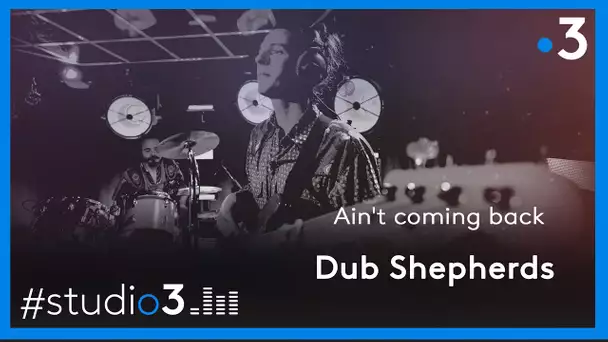 Dub Shepherds interprète Ain’t coming back