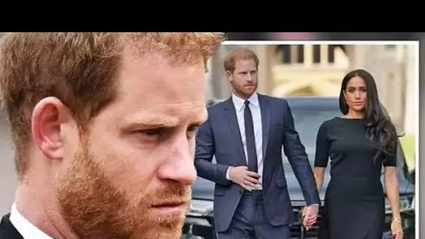 Harry a exhorté à "faire la bonne chose" et à "retirer le livre" ou à devenir "exilé" avec Meghan