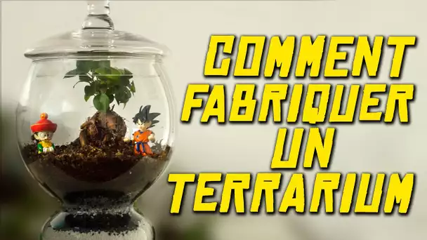 COMMENT FABRIQUER UN TERRARIUM - EXPERIENCE