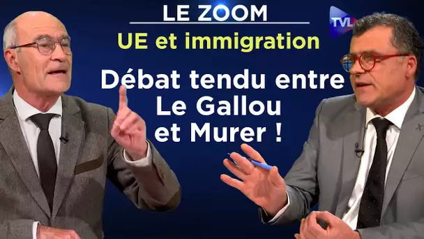 UE et immigration : débat tendu entre Le Gallou et Murer ! - Le Zoom - TVL