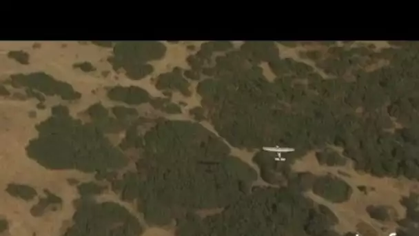 Tchad : poursuite aérienne dans la région du Lac Tchad